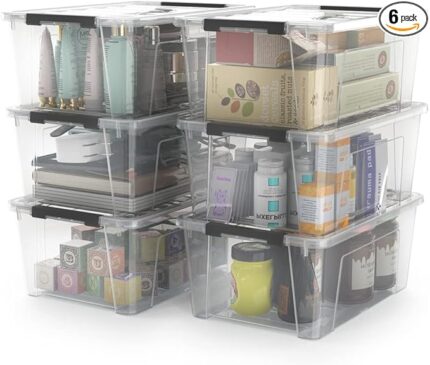 WYT Clear Storage Latch Bins, 6-Pack Storage Organizer Box with Handle and Lids
